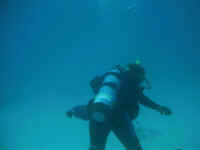 Mom scuba.jpg (24387 bytes)