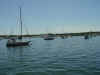 Picture_1_072.jpg (140428 bytes)
