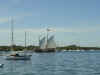 Picture_1_076.jpg (141206 bytes)