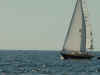 Picture_1_084.jpg (143347 bytes)