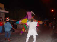 junkanoo_low_res_0015.jpg (42696 bytes)