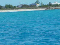 low_res_0030.jpg (69977 bytes)