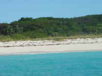 low_res_0038.jpg (48420 bytes)