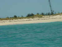low_res_0039.jpg (42964 bytes)