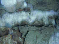 low_res_staniel0018.jpg (88164 bytes)