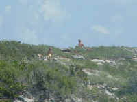 low_res_warderick0038.jpg (63982 bytes)