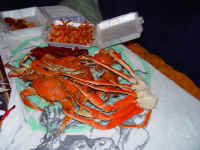 beforedinner.jpg (55633 bytes)