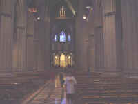 nationalcath2.jpg (32354 bytes)
