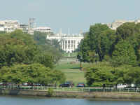 whitehouse.jpg (59095 bytes)